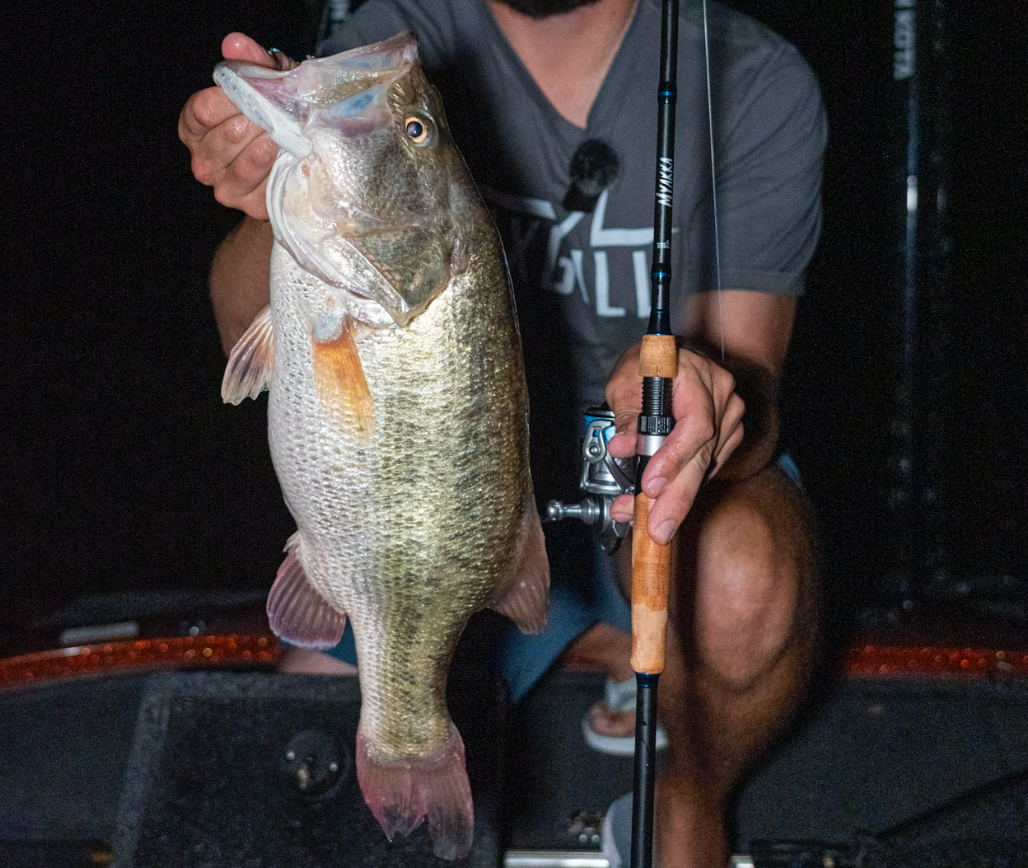 Myakka Rod With Bass