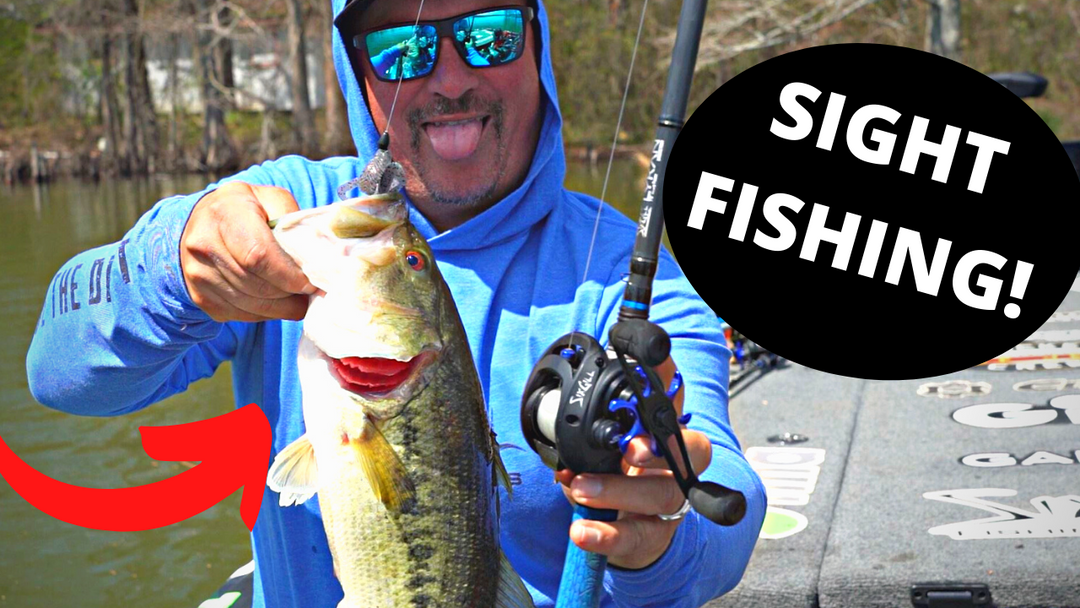 SIGHT FISHING With Major League Fishing Pro Fred Roumbanis