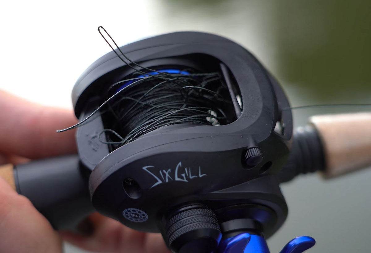 Sixgill Tips | How to Get Out Of Those Terrible Backlashes!