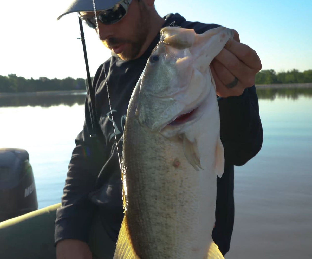 Sixgill Tips | Fishing Texas Rig Creature Baits For Texas Sized Large Mouth!