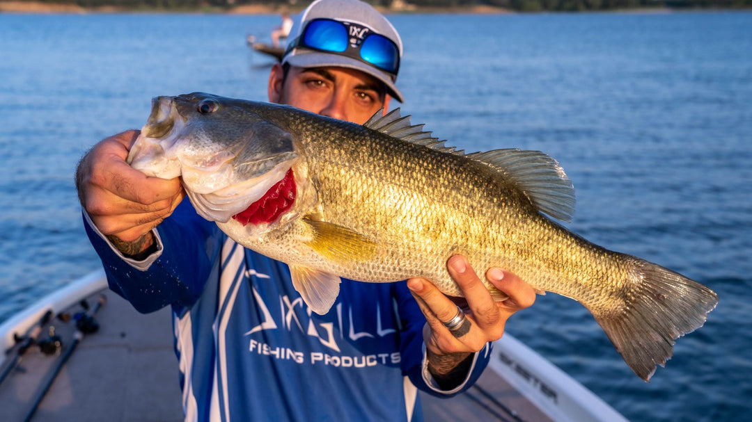 Sixgill Vlogs | Summer Finesse Fishing For Large Mouth Bass. Cover Your Area!