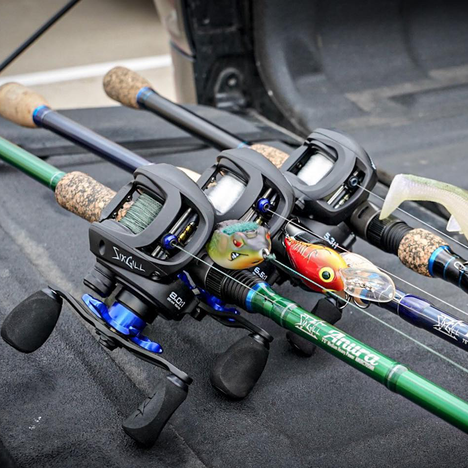 Jerkbait, Chatterbait, Flipping, Swimbait, Frog, and Jerkbait, Chatterbait, Flipping, Swimbait, Frog, and