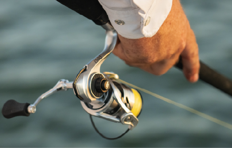 Spinning Reel in hand fishing Sixgill Fishing