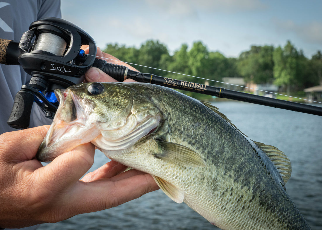 Sixgill Fishing Products
